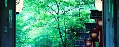 歩いて巡る奈良！京都！の活動紹介