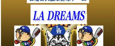 【日曜大阪市内11-17活動検討】LA・DREAMSの活動紹介