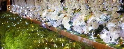 カメラクラブの活動紹介