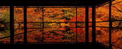 Photo Circle "Paysage"の活動紹介