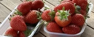 エンジョイカメラ部【学生限定】の活動紹介