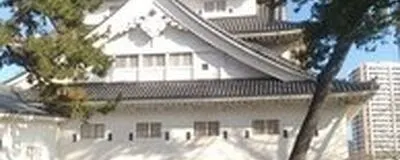 ゆる散歩🚶の活動紹介