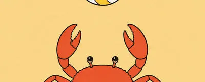 ドンドコバレーの活動紹介