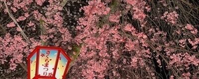 とってもゆる〜いランニングサークル🏃‍♀️の活動紹介