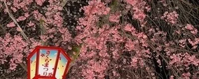 とってもゆる〜いランニングサークル🏃‍♀️の活動紹介