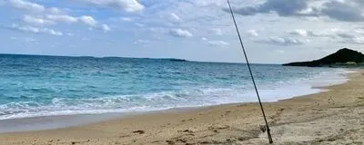 野営サーフの会の活動紹介
