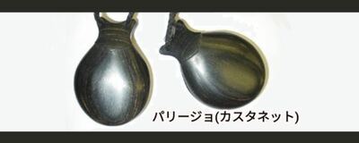 東京大学フラメンコ舞踏団の活動紹介