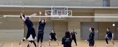 freesiaの活動紹介
