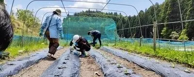 京都パスタ専門店YuPPenJoBsの活動紹介