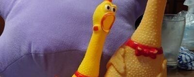 ジモミクカラオケオフ会の活動紹介
