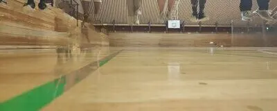 IFの活動紹介